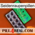 Silkworm Pills new04